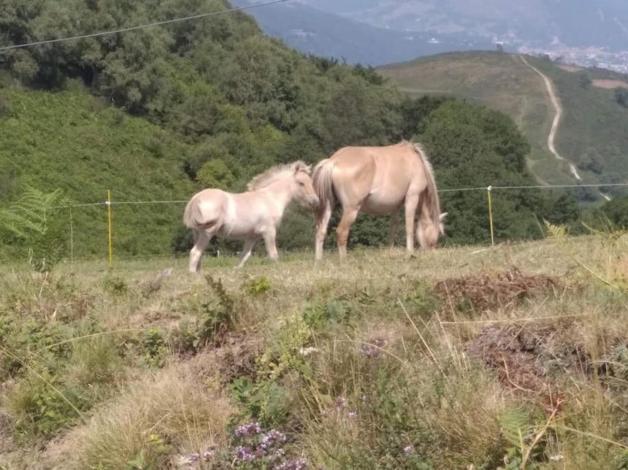 Gite La Grangette De Pauline Mercus-Garrabet المظهر الخارجي الصورة