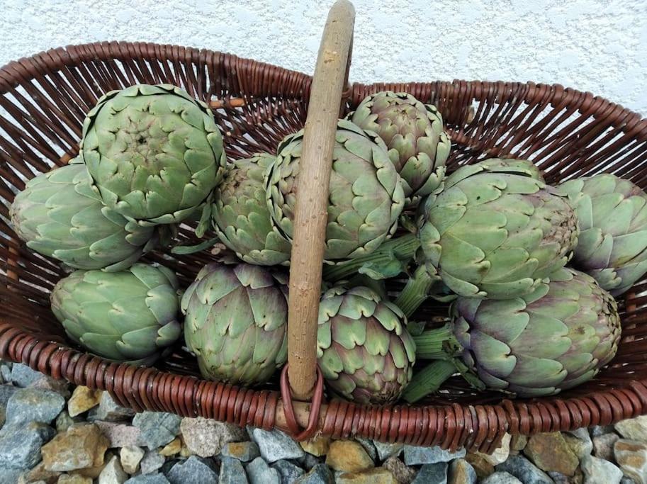 Gite La Grangette De Pauline Mercus-Garrabet المظهر الخارجي الصورة