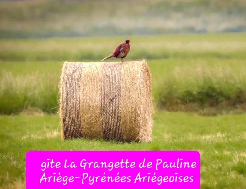 Gite La Grangette De Pauline Mercus-Garrabet المظهر الخارجي الصورة